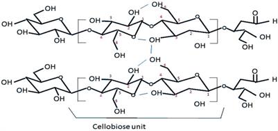 Nanocellulose-Based Biomedical Scaffolds in Future Bioeconomy: A Techno-Legal Assessment of the State-of-the-Art